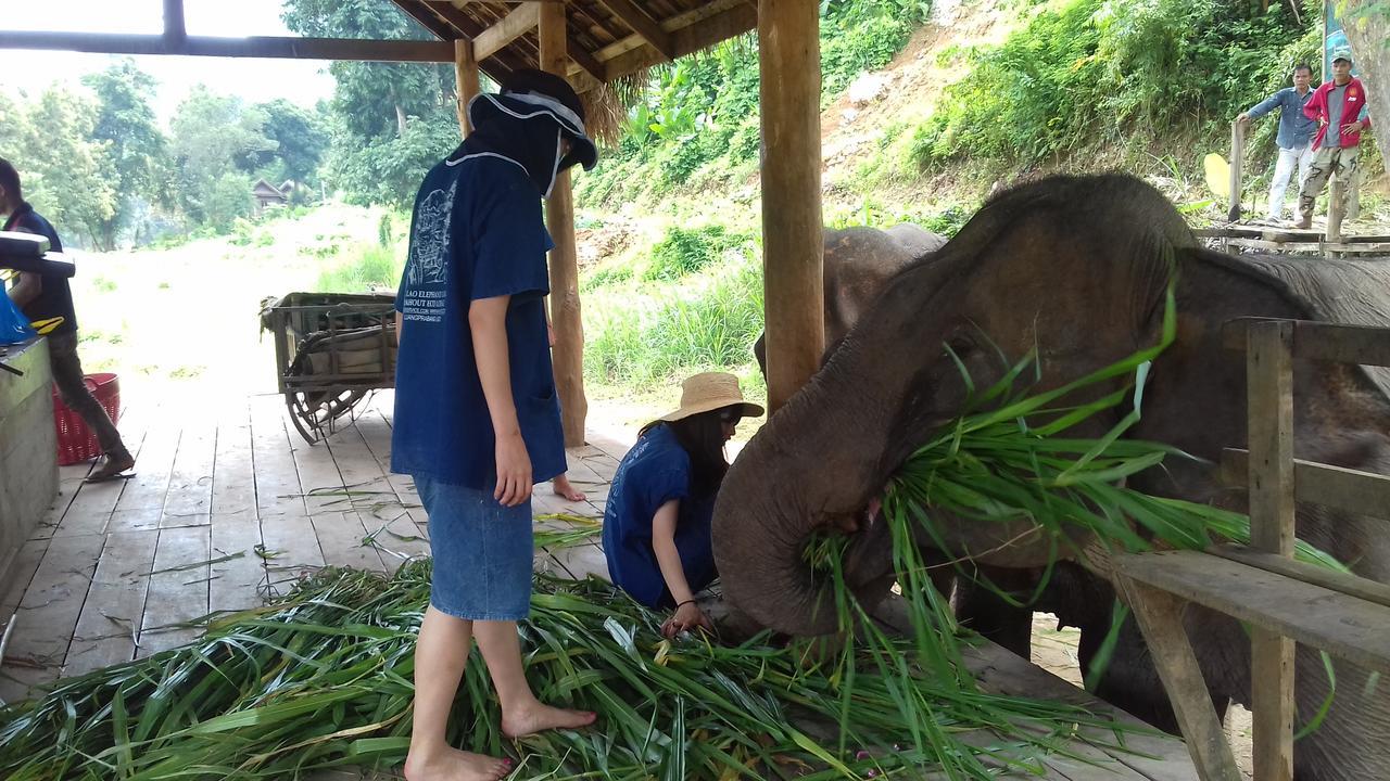 Mahout Hotel Luang Prabang Ngoại thất bức ảnh